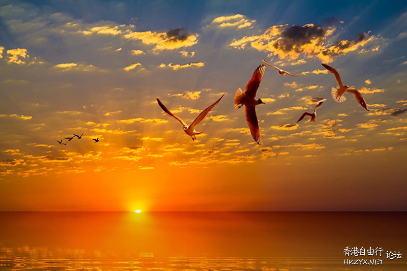   Sunset 夕陽