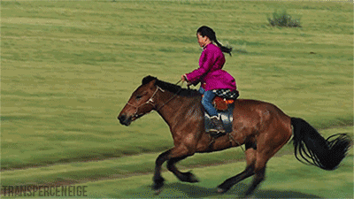 馬的奔馳  Ecology 生態留影
