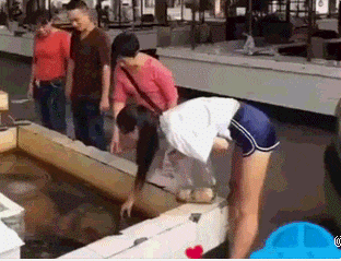   Nonsensical 無厘頭图片
