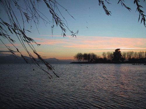   Sunset 夕陽