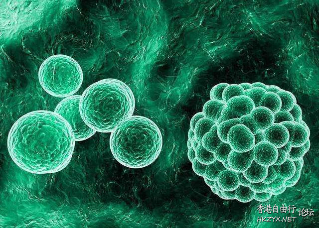 2030年人類可實現「永生」  科技新知