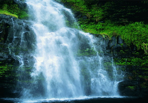    Landscape 山水湖林