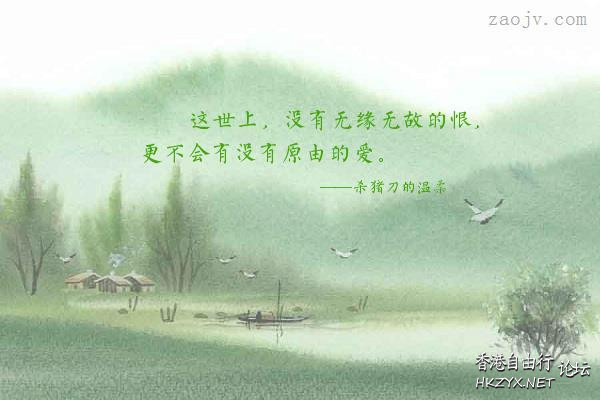 No reason to love  English + 中文