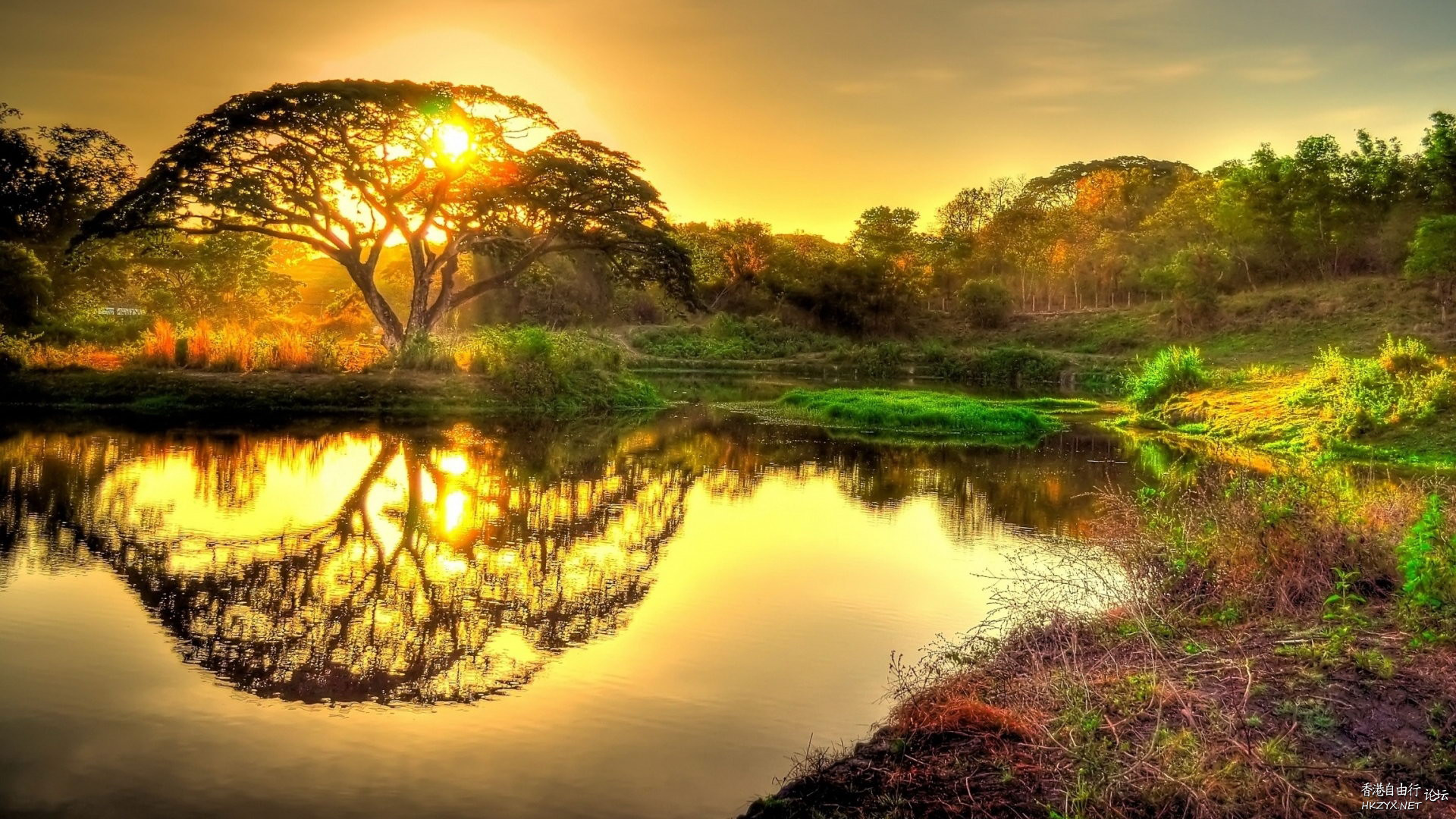   Sunset 夕陽