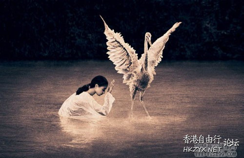 请用一颗平静的心慢慢的欣赏  人生哲理