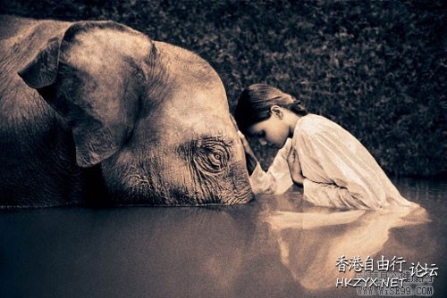 请用一颗平静的心慢慢的欣赏  人生哲理