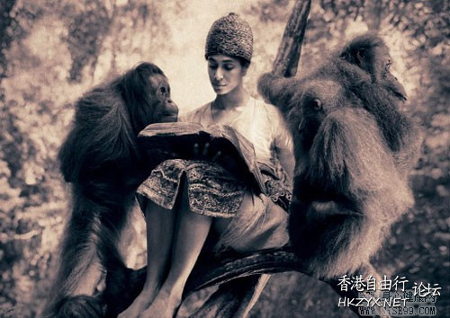 请用一颗平静的心慢慢的欣赏  人生哲理