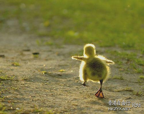   愛情感悟