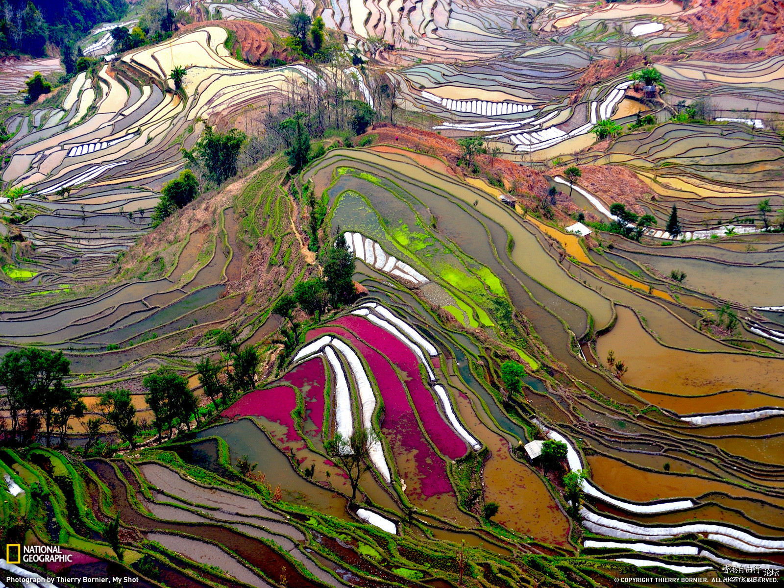 坐在家裡與你遊天下  ChinaTravel 中國觀光景點
