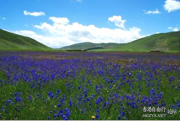坐在家裡與你遊天下  ChinaTravel 中國觀光景點