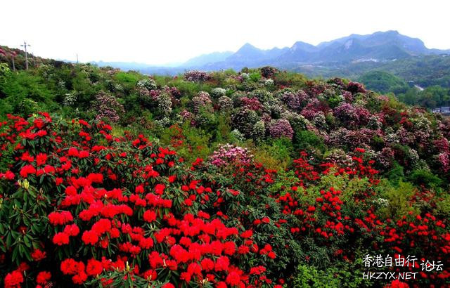 坐在家裡與你遊天下  ChinaTravel 中國觀光景點