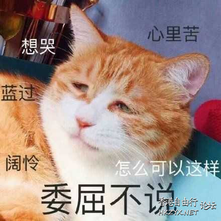 對聯“混完一年是一年。"Joke  Nonsensical 無厘頭图片