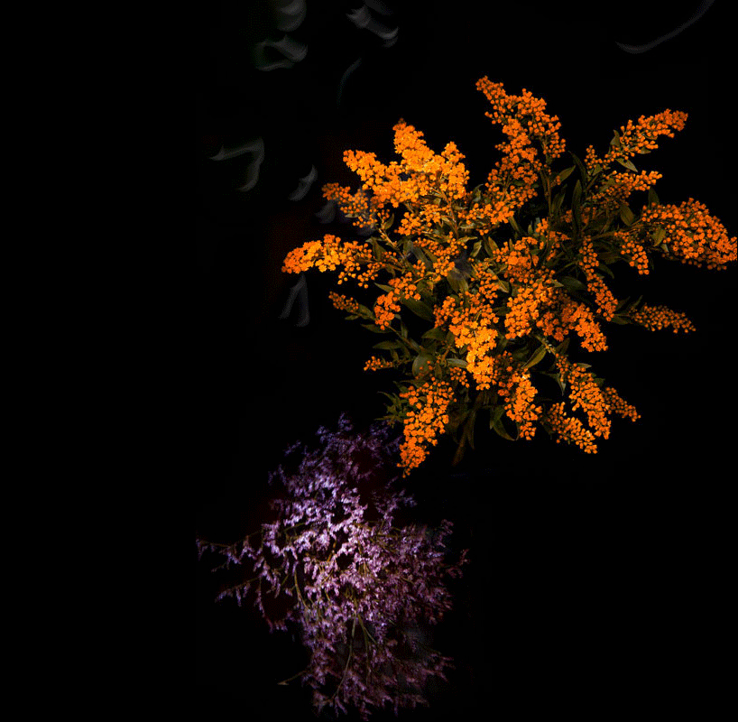   Fireworks 烟花