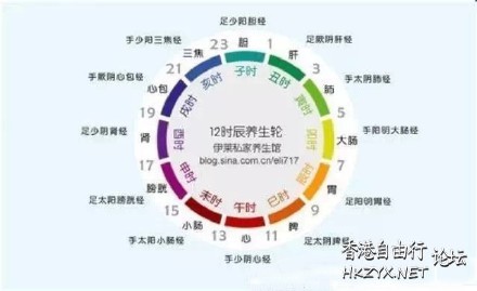 瑜伽理療十二經脈循行  瑜伽美体图片