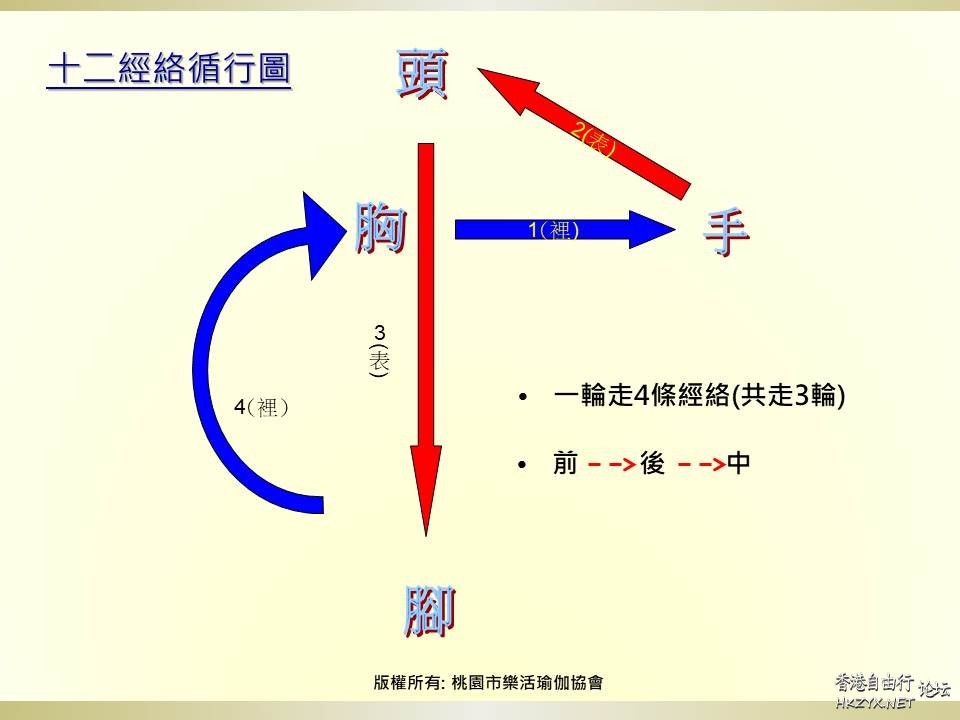 瑜伽理療十二經脈循行  瑜伽美体图片