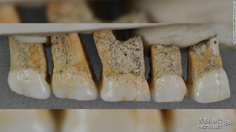 人类是一个神奇的物种  專題報導