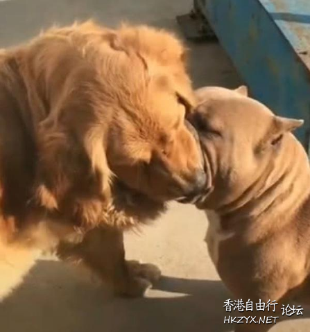   Kiss 我要咀咀
