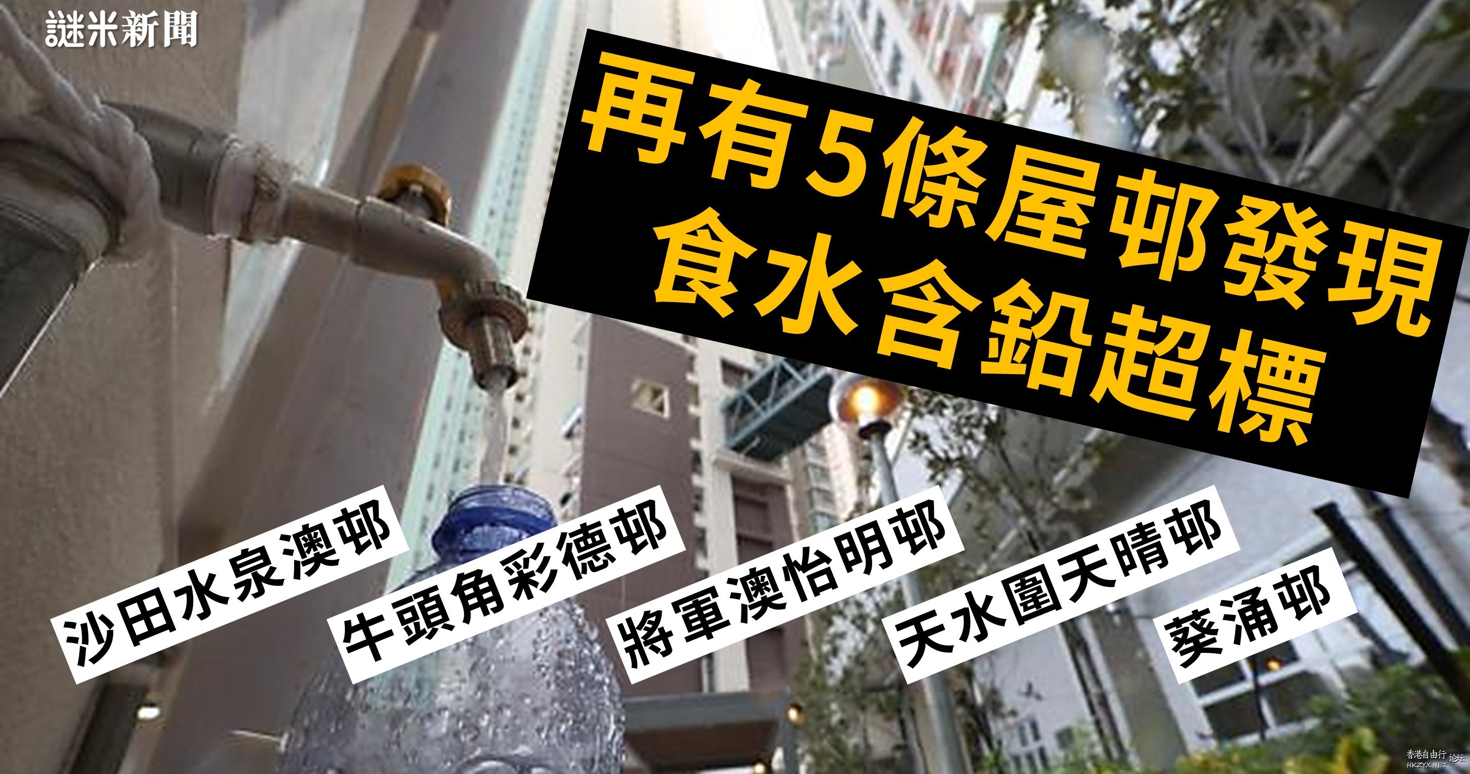 鉛對人體健康的影響  医学常識