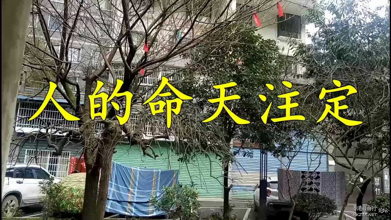 什麼是人生的“命”呢？  Religious 宗教