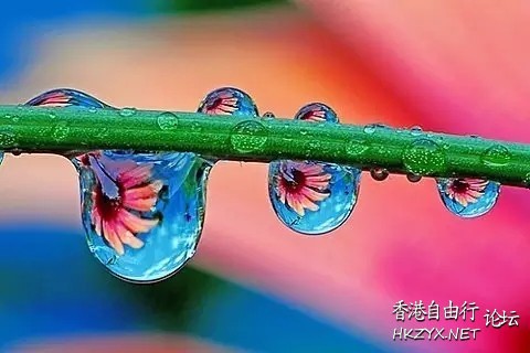   貼上 精華分享