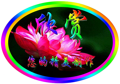   Philosophy of life感悟人生