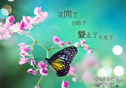 歲月無聲深情共餘生  情感信箱