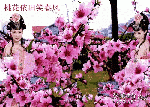   Flowers花卉