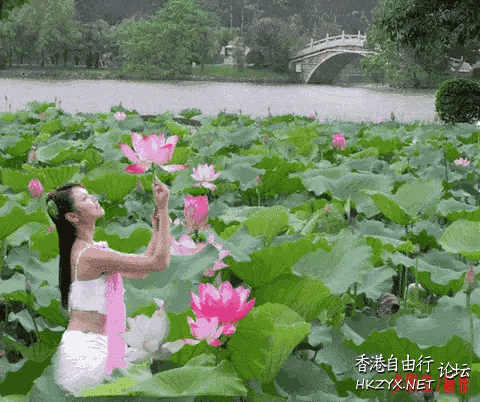 來一場魂牽夢繞的歡愉  Philosophy of life感悟人生