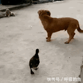    一天三笑 + 解悶處