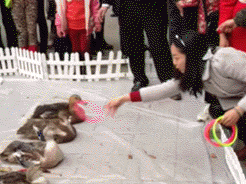   Nonsensical 無厘頭图片