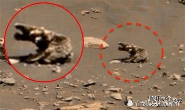 火星新发现：十字架？坟墓？  天文探討