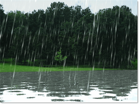 Raining Raining !   Landscape 山水湖林