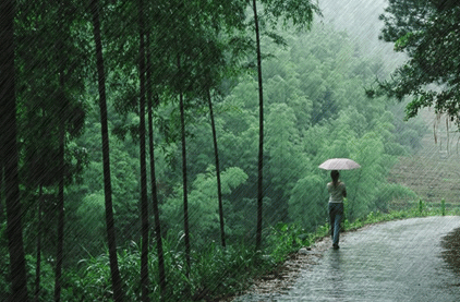 Raining Raining !   Landscape 山水湖林