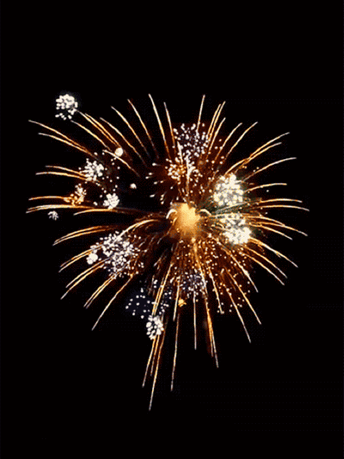   Fireworks 烟花