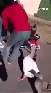   解悶園地