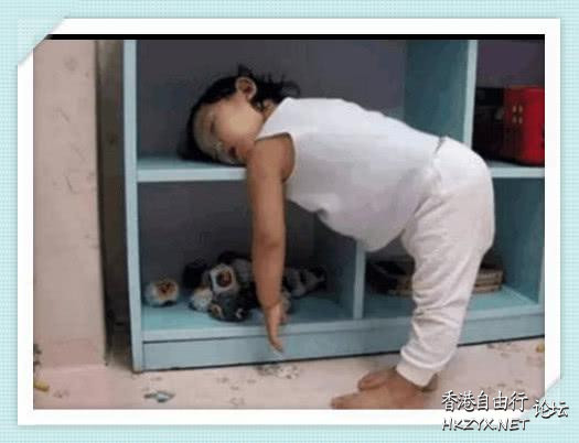   Baby 虾仔虾女