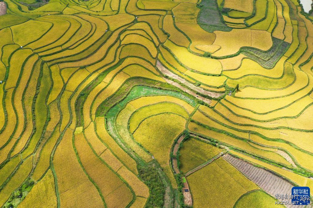 湾滩河田园秋色  ChinaTravel 中國觀光景點