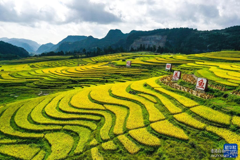 湾滩河田园秋色  ChinaTravel 中國觀光景點
