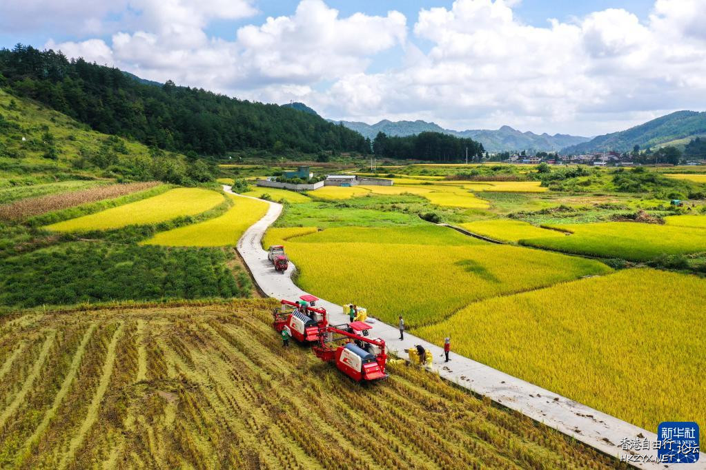 湾滩河田园秋色  ChinaTravel 中國觀光景點