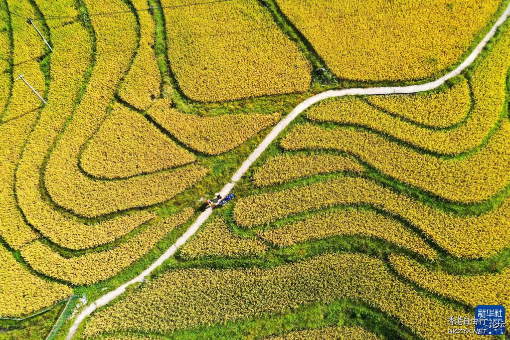 湾滩河田园秋色  ChinaTravel 中國觀光景點