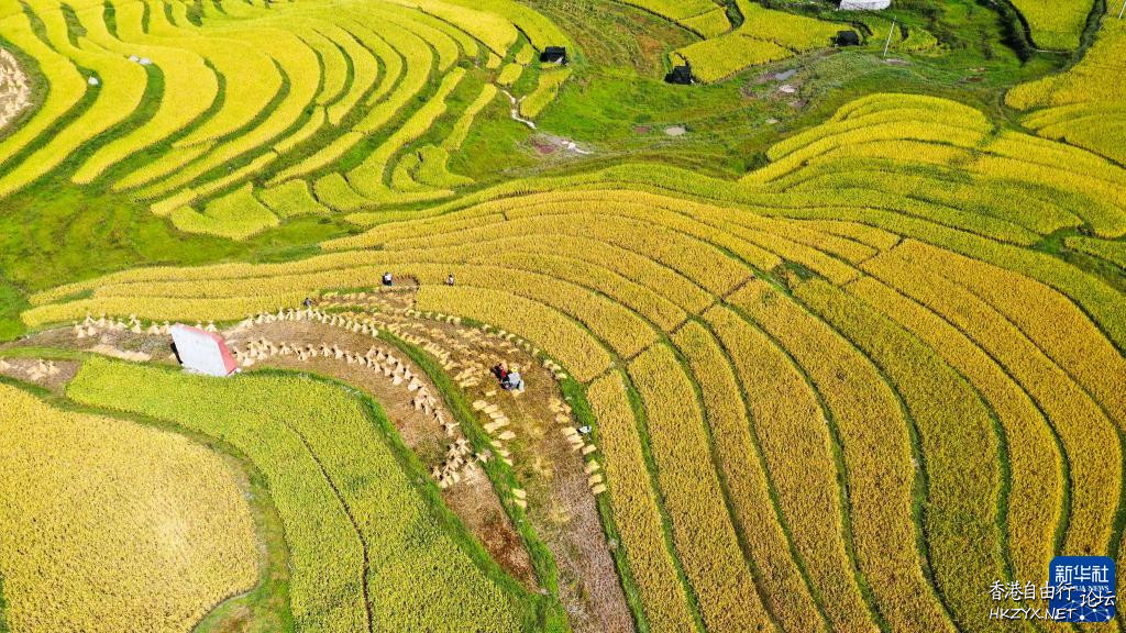 湾滩河田园秋色  ChinaTravel 中國觀光景點