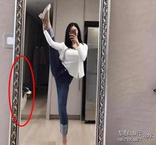   Nonsensical 無厘頭图片