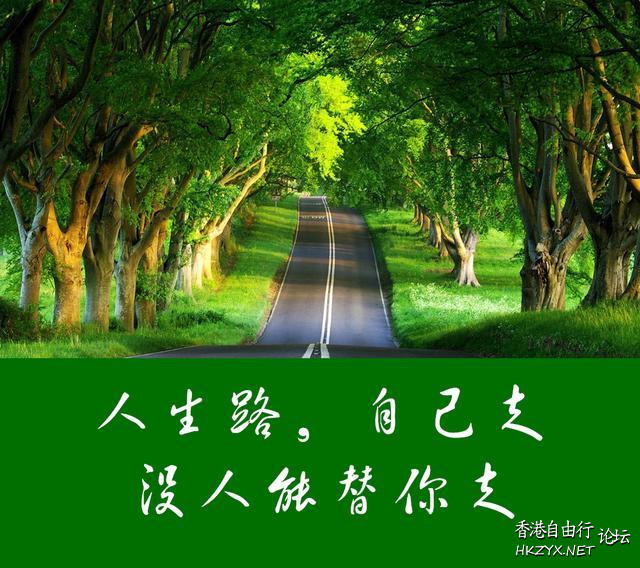 内心强大，方可治愈一切  人生哲理