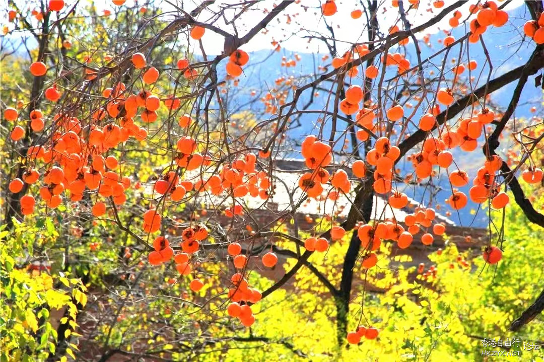   ChinaTravel 中國觀光景點
