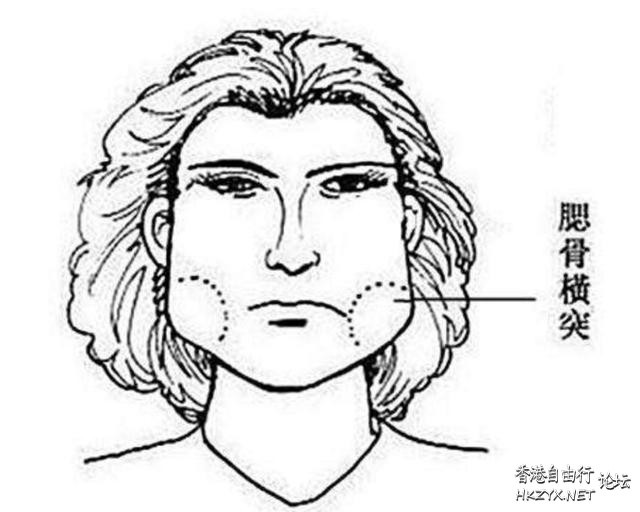   风水玄学 + 生肖運程