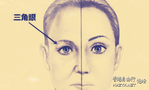   风水玄学 + 生肖運程