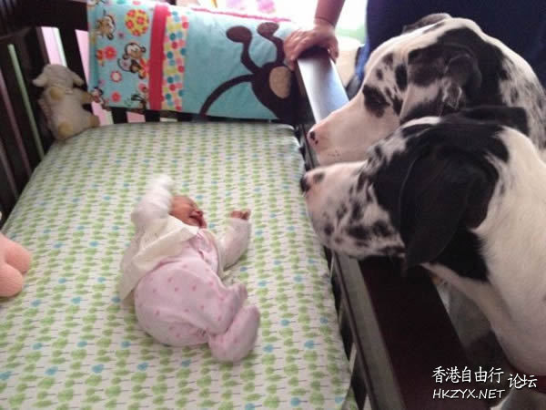 小孩: 要愛惜光陰  Baby 虾仔虾女